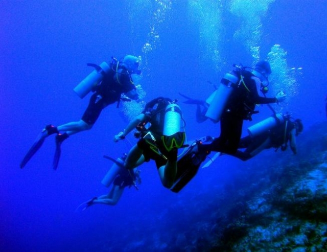  Diving course 